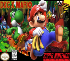 DKC X Mario