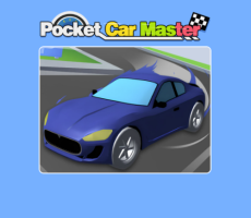 Pocket Car Master